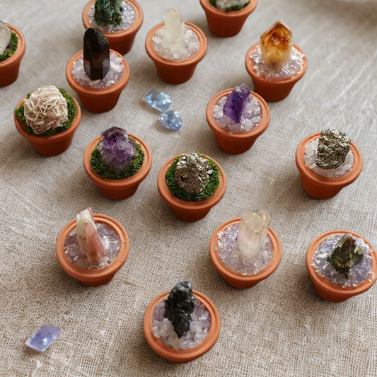 Crystal Garden